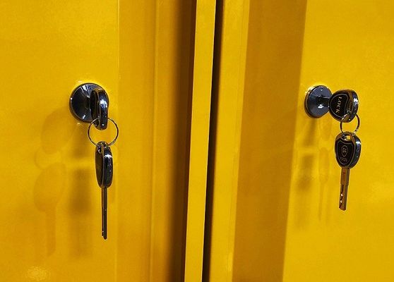 Beli Chemical Storage Cabinet with 109x46x123CM, 109x46x165CM, and 109x86x165CM Sizes for Hazardous Material Storage pembuatan online